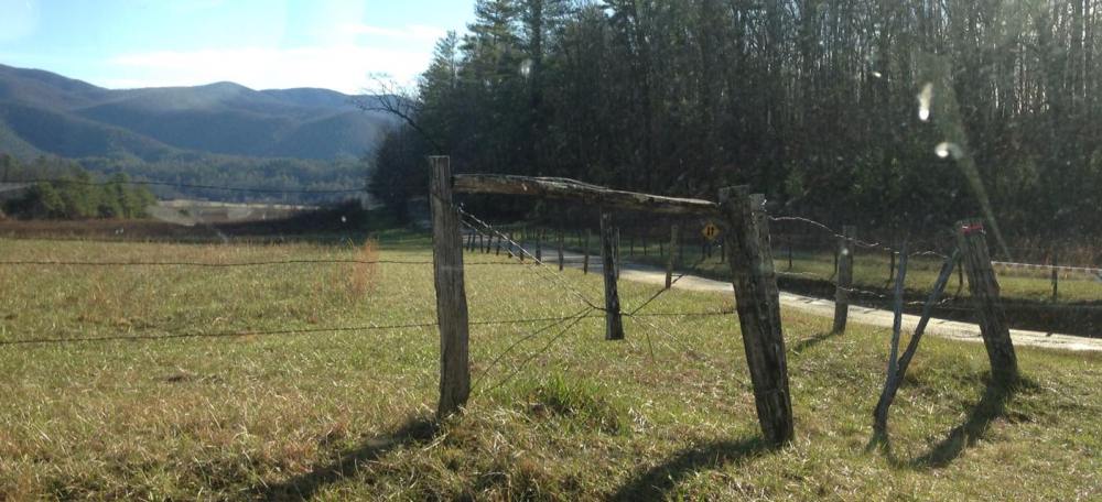 15732472_1365191680179078_2034376740060959111_o