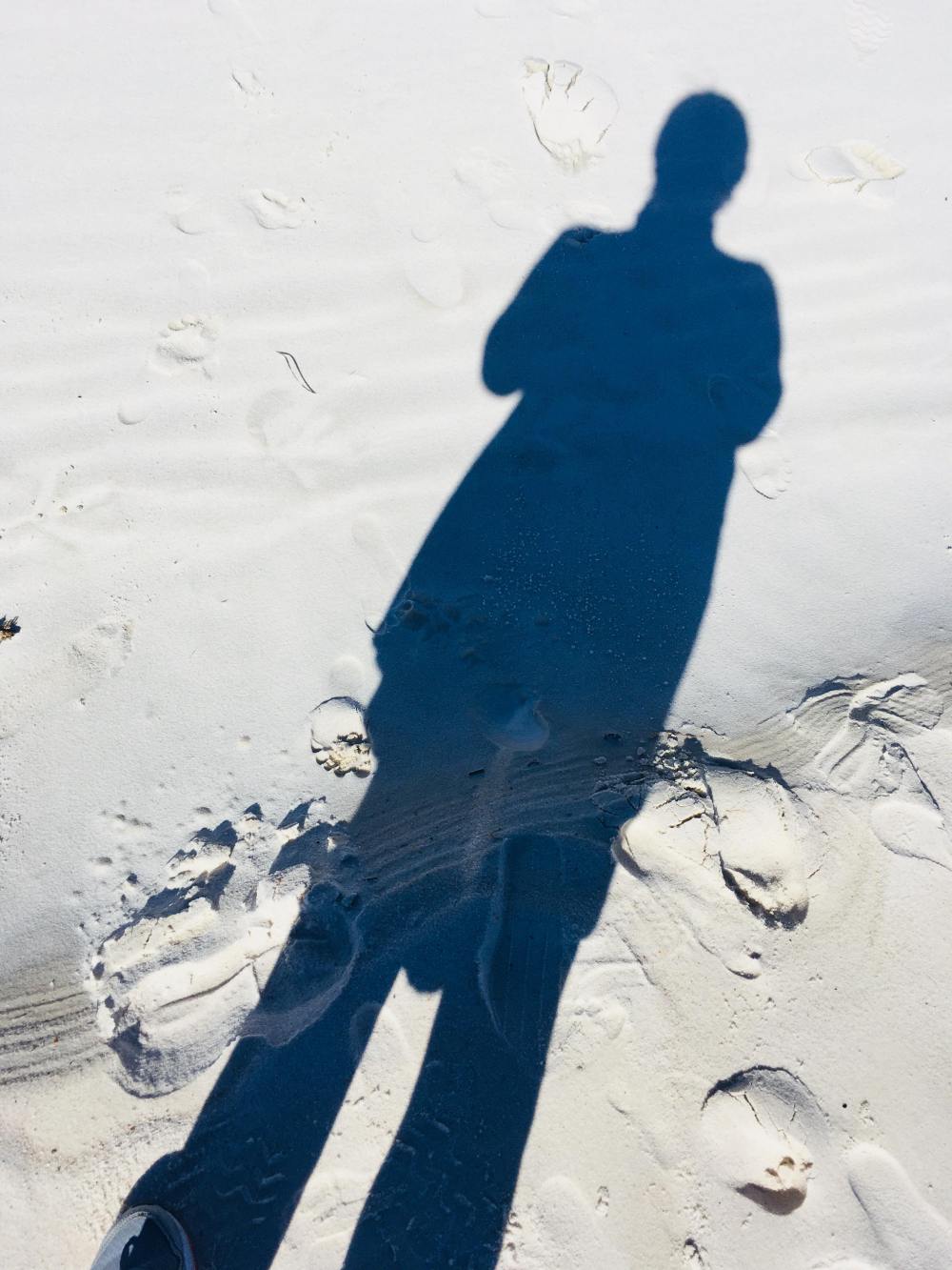 27329664_1767480103283565_509649661_o